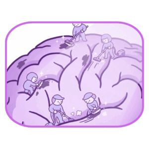 brain candy - the night shift wp tiny