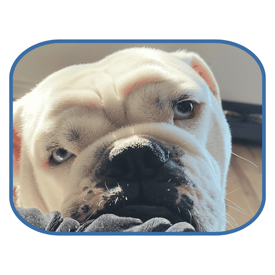 employee of the month charles wp tiny