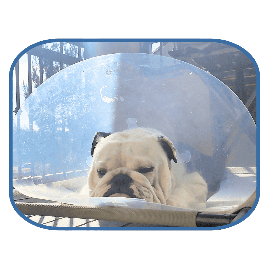 employee of the month linus tp tiny