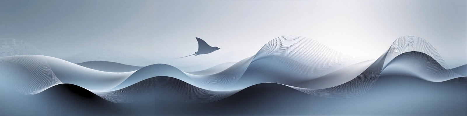 grey manta waves tiny